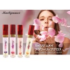 4PCS LIP GLOSS SUPER COMBO